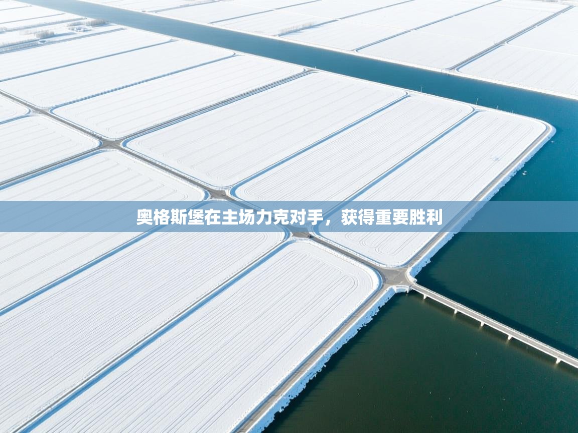 奥格斯堡在主场力克对手，获得重要胜利