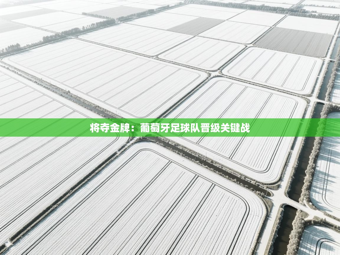 将夺金牌：葡萄牙足球队晋级关键战