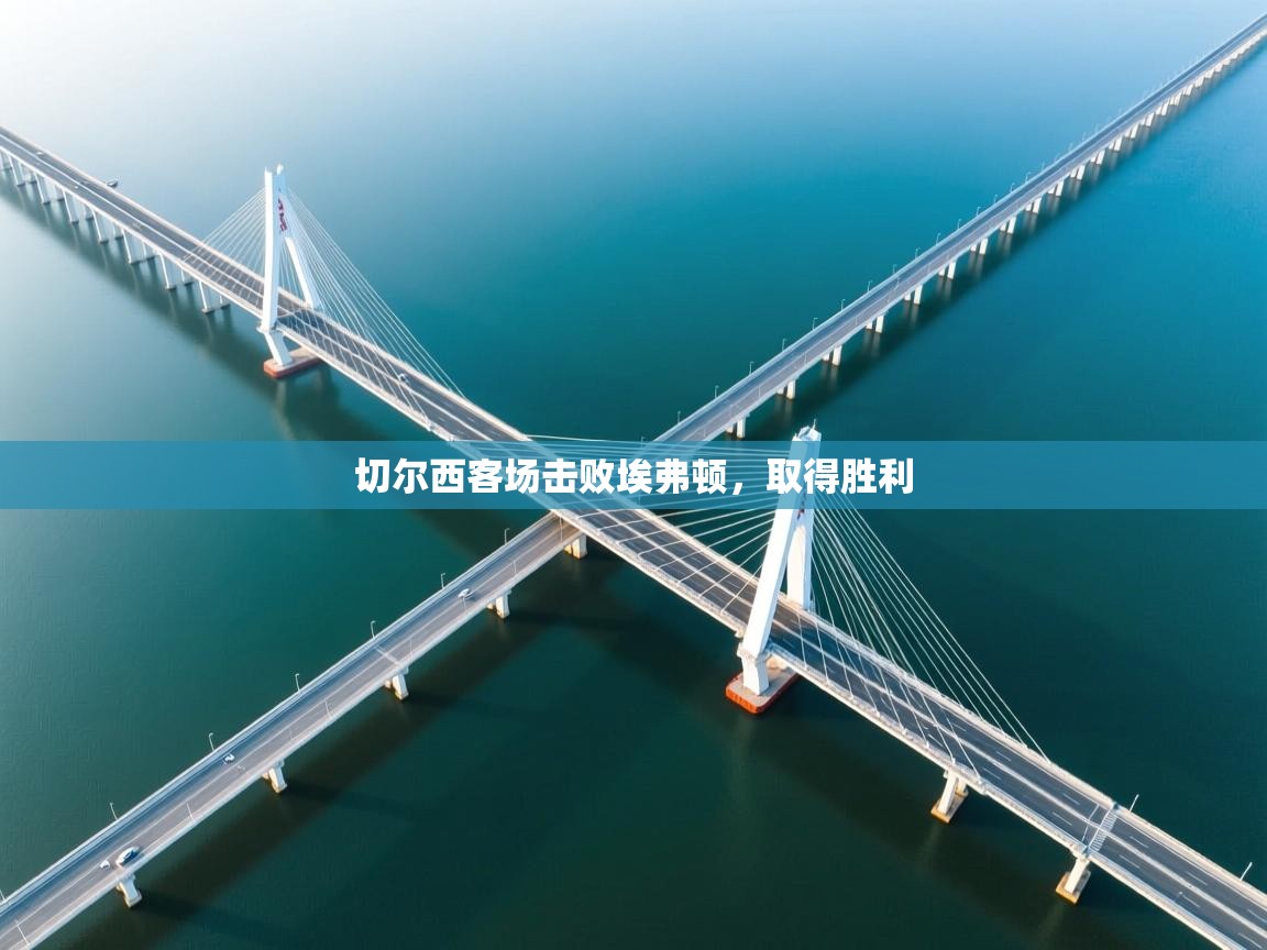 切尔西客场击败埃弗顿,取得胜利 第2张