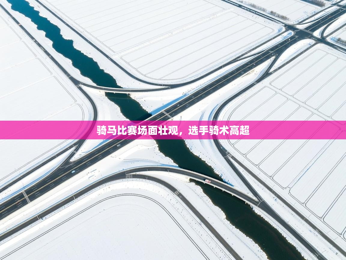 骑马比赛场面壮观，选手骑术高超  第1张