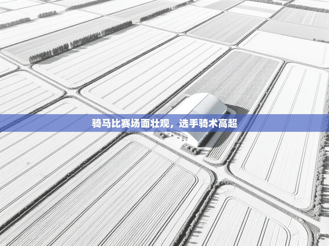 骑马比赛场面壮观，选手骑术高超  第2张