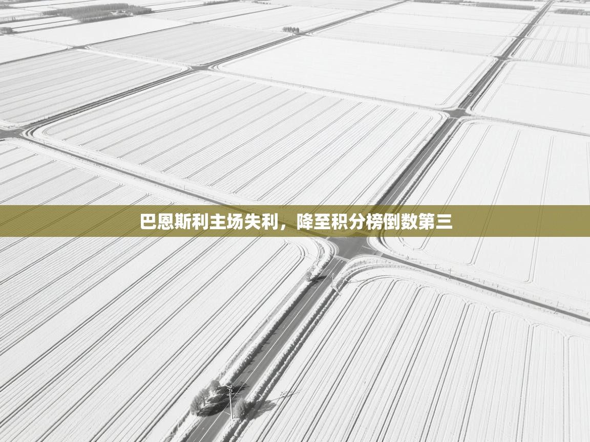 巴恩斯利主场失利，降至积分榜倒数第三  第2张