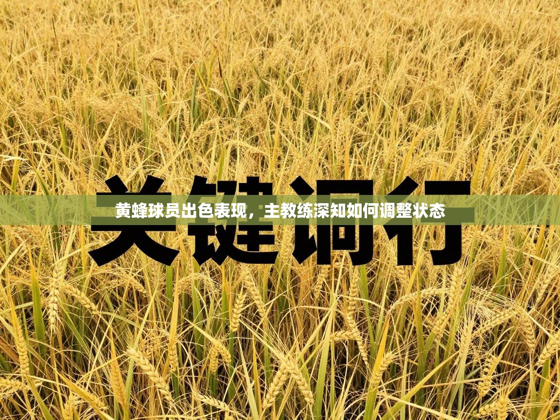 黄蜂球员出色表现，主教练深知如何调整状态